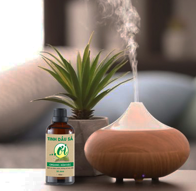 Tinh Dầu Sả - 100ml - Hình ảnh 2